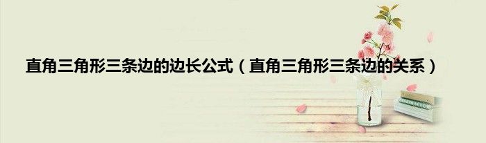 直角三角形三条边的边长公式（直角三角形三条边的关系）
