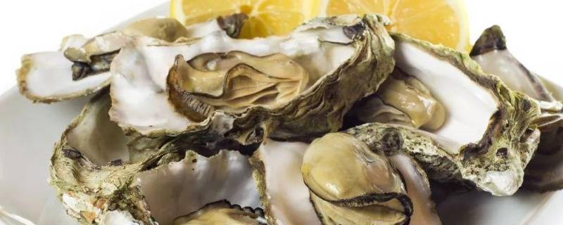 生蚝怎么挑