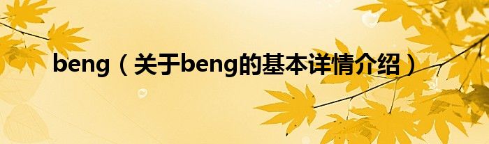 beng（关于beng的基本详情介绍）
