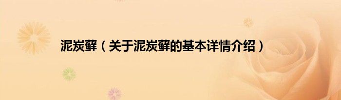 泥炭藓（关于泥炭藓的基本详情介绍）