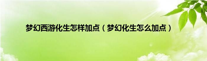 梦幻西游化生怎样加点（梦幻化生怎么加点）