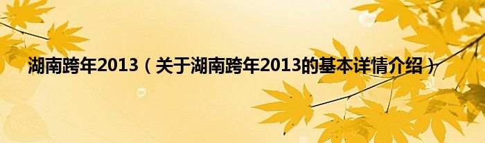 湖南跨年2013（关于湖南跨年2013的基本详情介绍）