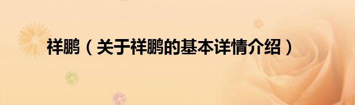 祥鹏（关于祥鹏的基本详情介绍）