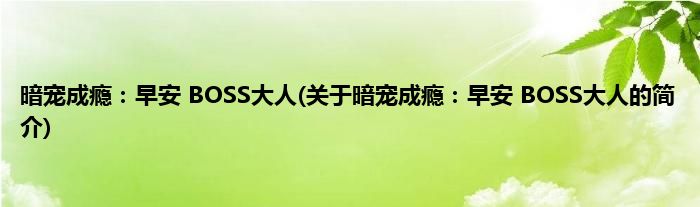 暗宠成瘾：早安 BOSS大人(关于暗宠成瘾：早安 BOSS大人的简介)