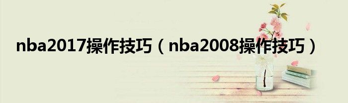 nba2017操作技巧（nba2008操作技巧）