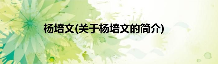 杨培文(关于杨培文的简介)