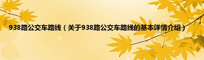 938路公交车路线（关于938路公交车路线的基本详情介绍）